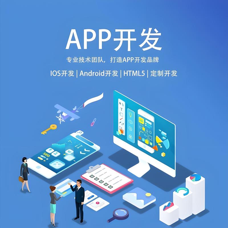 沈阳软件开发
